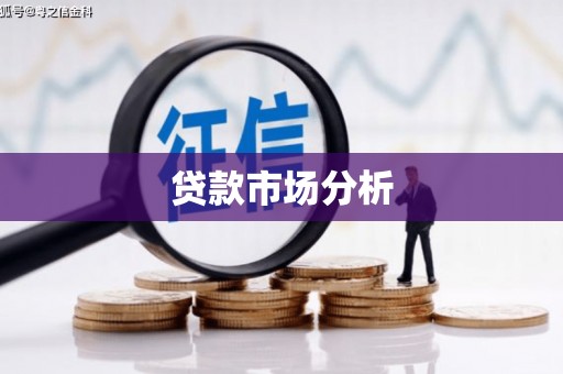 美浓贷款市场分析