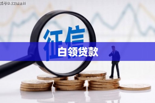 美浓白领贷款