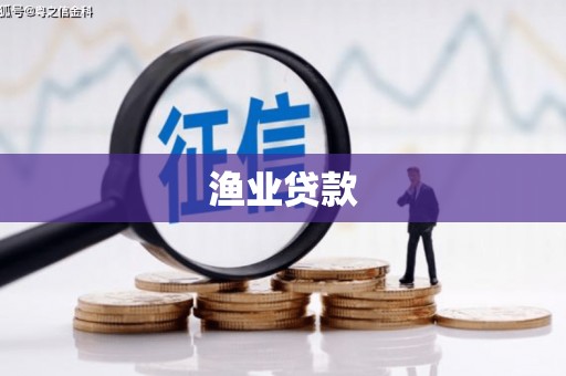 美浓渔业贷款