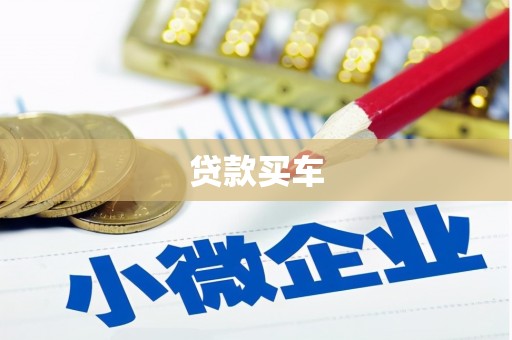 美浓贷款买车