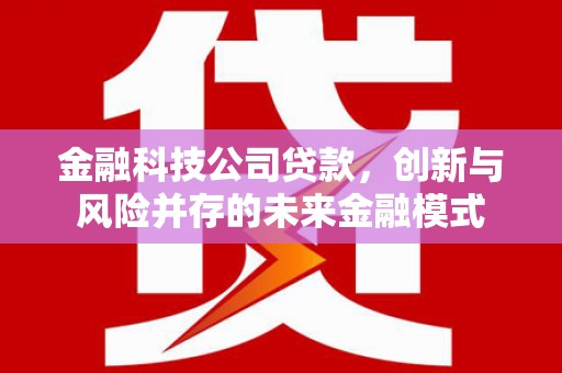 美浓金融科技公司贷款，创新与风险并存的未来金融模式