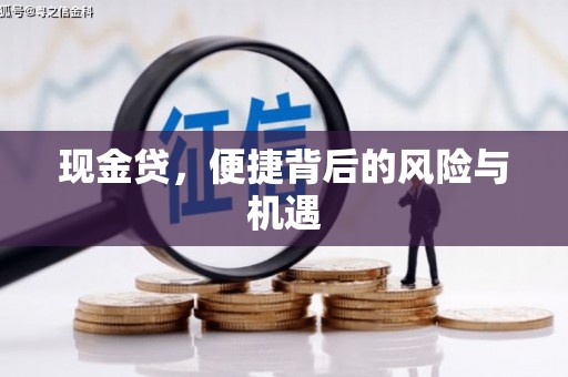 美浓现金贷，便捷背后的风险与机遇