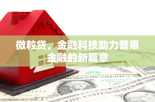 美浓微粒贷，金融科技助力普惠金融的新篇章