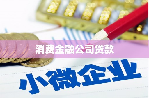 美浓消费金融公司贷款