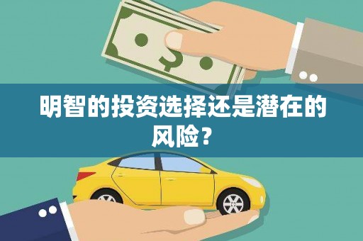 美浓明智的投资选择还是潜在的风险？