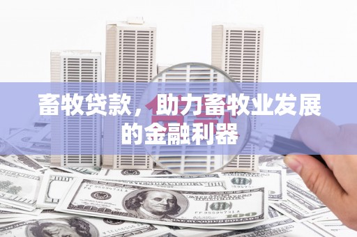 美浓畜牧贷款，助力畜牧业发展的金融利器