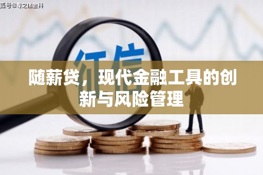 美浓随薪贷，现代金融工具的创新与风险管理