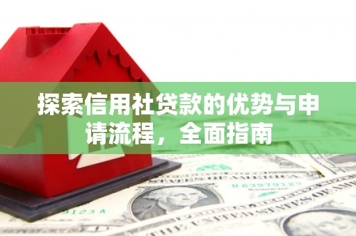 美浓探索信用社贷款的优势与申请流程，全面指南