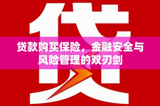 美浓贷款购买保险，金融安全与风险管理的双刃剑