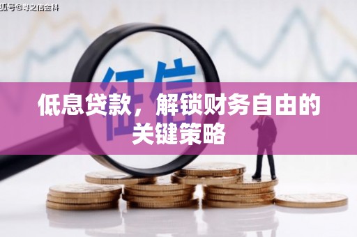 美浓低息贷款，解锁财务自由的关键策略