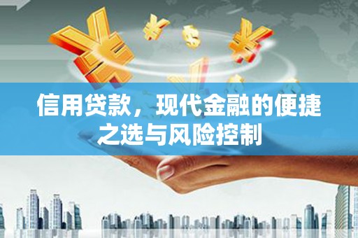 美浓信用贷款，现代金融的便捷之选与风险控制