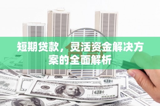美浓短期贷款，灵活资金解决方案的全面解析