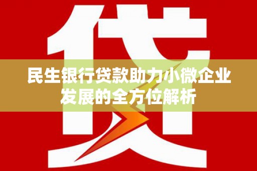 美浓民生银行贷款助力小微企业发展的全方位解析