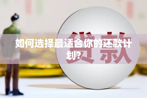美浓如何选择最适合你的还款计划？