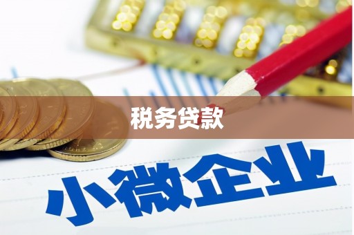 美浓税务贷款