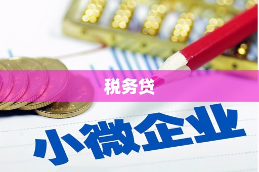美浓税务贷