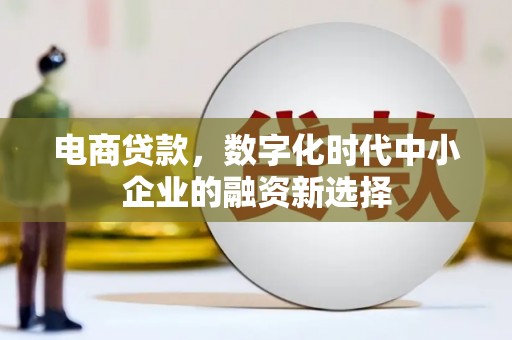 美浓电商贷款，数字化时代中小企业的融资新选择