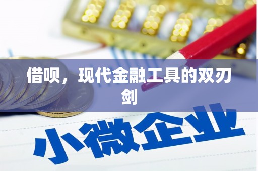美浓借呗，现代金融工具的双刃剑