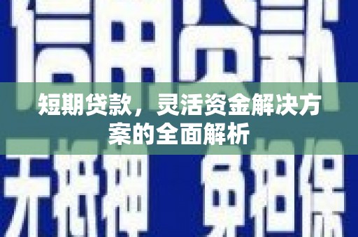 美浓短期贷款，灵活资金解决方案的全面解析
