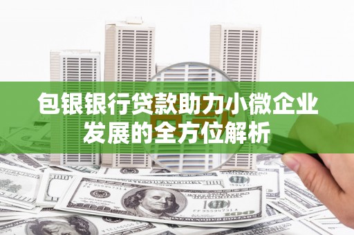 美浓包银银行贷款助力小微企业发展的全方位解析