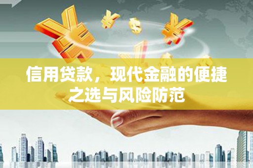 美浓信用贷款，现代金融的便捷之选与风险防范