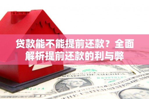 美浓贷款能不能提前还款？全面解析提前还款的利与弊