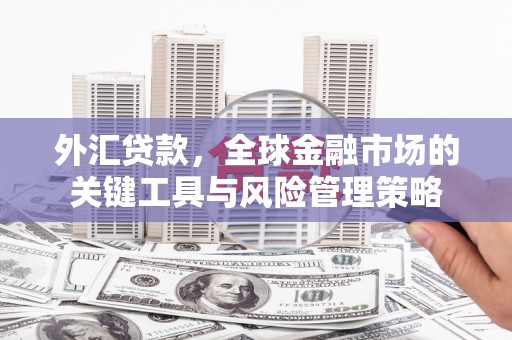 美浓外汇贷款，全球金融市场的关键工具与风险管理策略