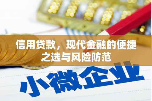 美浓信用贷款，现代金融的便捷之选与风险防范