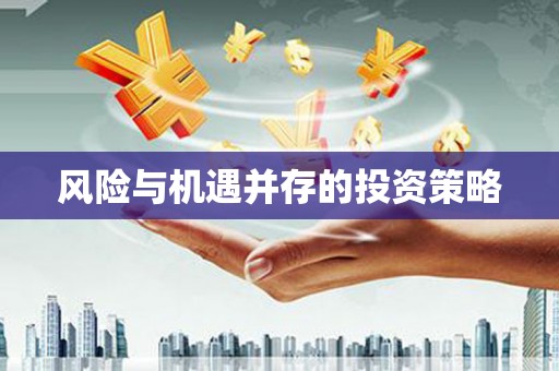 美浓风险与机遇并存的投资策略