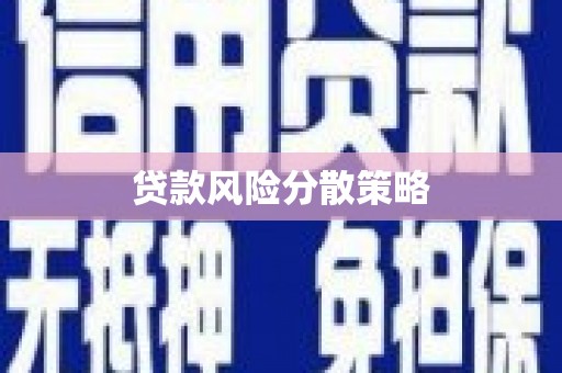 美浓贷款风险分散策略
