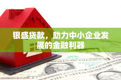 美浓银盛贷款，助力中小企业发展的金融利器