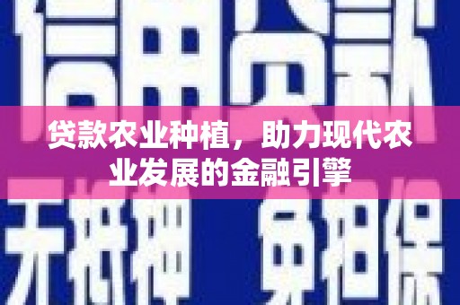美浓贷款农业种植，助力现代农业发展的金融引擎