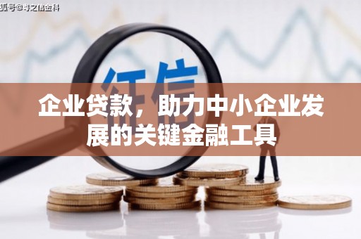 美浓企业贷款，助力中小企业发展的关键金融工具
