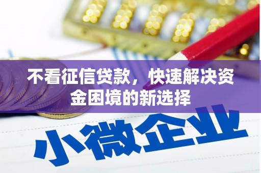 美浓不看征信贷款，快速解决资金困境的新选择