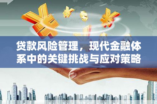 美浓贷款风险管理，现代金融体系中的关键挑战与应对策略