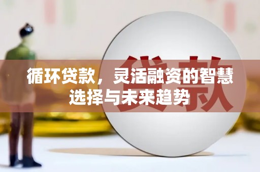 美浓循环贷款，灵活融资的智慧选择与未来趋势