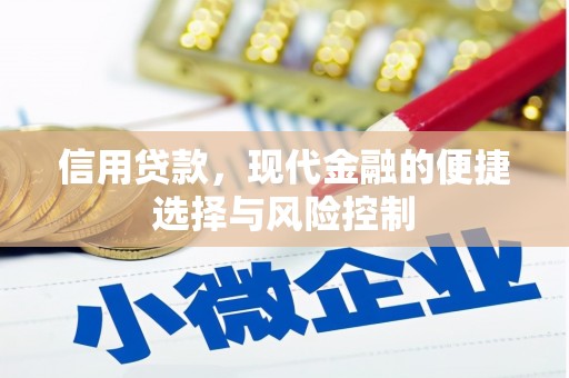 美浓信用贷款，现代金融的便捷选择与风险控制