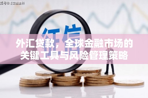美浓外汇贷款，全球金融市场的关键工具与风险管理策略