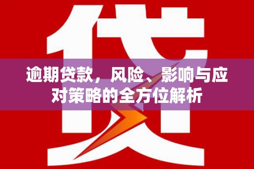 美浓逾期贷款，风险、影响与应对策略的全方位解析