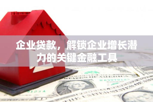 美浓企业贷款，解锁企业增长潜力的关键金融工具