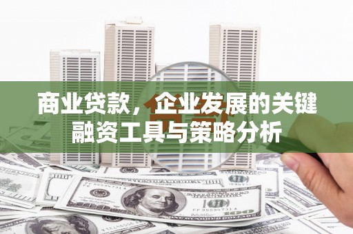 美浓商业贷款，企业发展的关键融资工具与策略分析