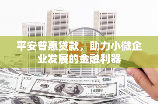 美浓平安普惠贷款，助力小微企业发展的金融利器