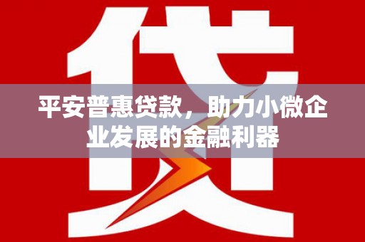 美浓平安普惠贷款，助力小微企业发展的金融利器