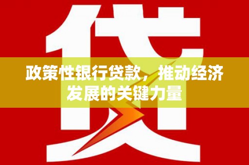 美浓政策性银行贷款，推动经济发展的关键力量