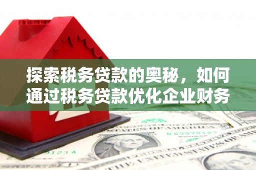 美浓探索税务贷款的奥秘，如何通过税务贷款优化企业财务