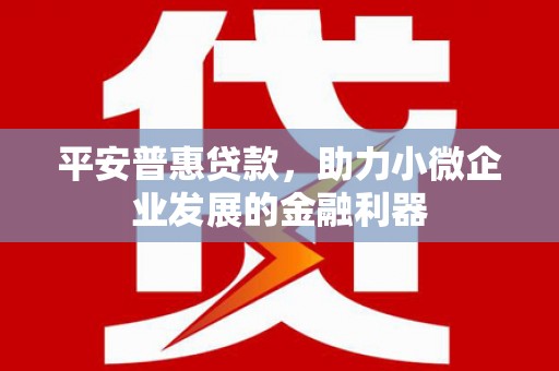 美浓平安普惠贷款，助力小微企业发展的金融利器