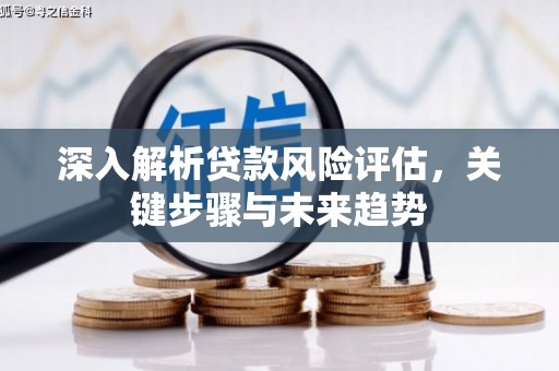 美浓深入解析贷款风险评估，关键步骤与未来趋势