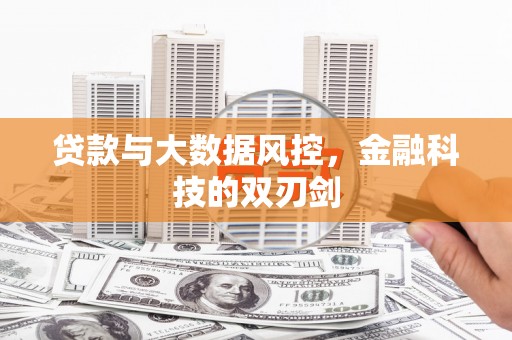 美浓贷款与大数据风控，金融科技的双刃剑