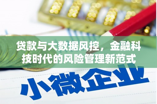 美浓贷款与大数据风控，金融科技时代的风险管理新范式