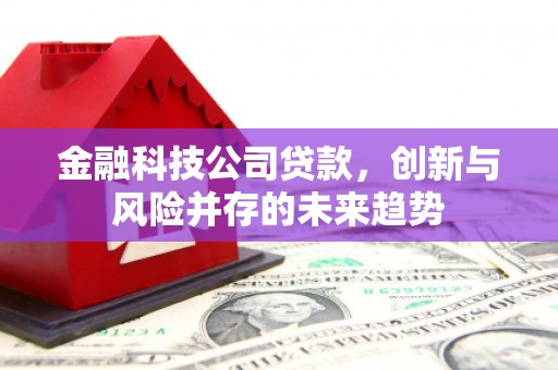 美浓金融科技公司贷款，创新与风险并存的未来趋势